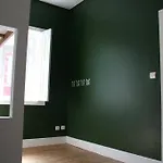 Spot